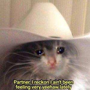 Meet your Posher, Jay